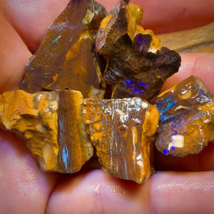 Bargain Card! 206.4cts - 5x Australian Boulder Opal Rough Parcel