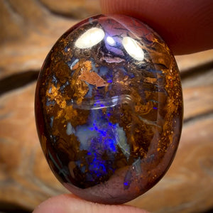 37.8cts - Koroit Nut Opal. Australian Opal