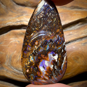 51.3cts - Tribal Koroit Nut Opal. Double Sided