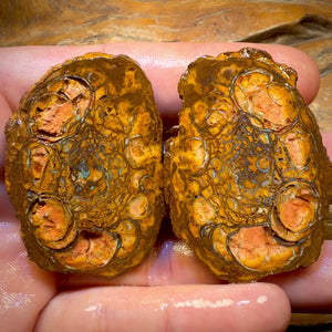 221.4cts - Tribal Yowah Nut Rough Specimen Pair
