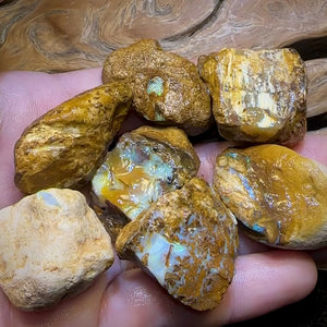 464.5cts - 7x Opalised Wood/Vegetation Fossil Rough Parcel from Yowah