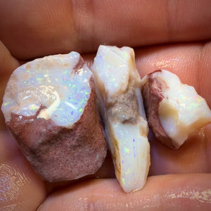 75.1cts - 3x South Australian White Opal Rough Parcel
