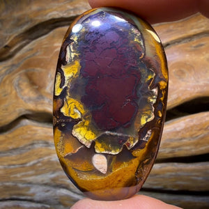 🔨 AUCTION 🔨 98.1cts - Tribal Yowah Nut Kernel Opal. Australian Opal