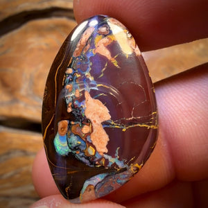 35.6cts - Tribal Queensland Boulder Opal from Yowah Bargain