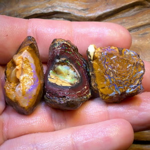 TGIF 158.9cts - 3x Yowah Nut Opal Rough Parcel. Australian Boulder Opal