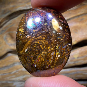 TGIF 70.9cts - Tribal Queensland Boulder Opal. Australian Opal