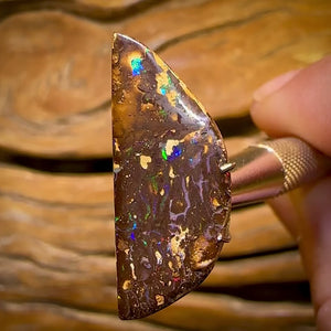 12.2cts - Queensland Boulder Opal from Yowah