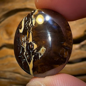 42.5cts - Queensland Boulder Opal from Koroit