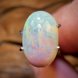 2.9cts - Magic Bean Lightning Ridge Light Opal
