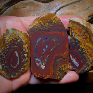 Bargain Card! 615cts - 3x Yowah Nut Tribal Opal Rough Parcel. Australian Boulder Opal