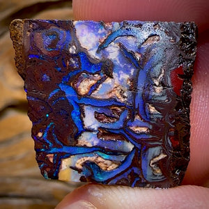 44.9cts - OMG Tribal Queensland Boulder Opal Rough Piece from Koroit