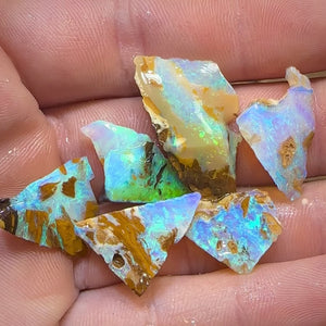 41.6cts - 6x Australian Yowah Golden Green Boulder Crystal Opal Rough Pieces