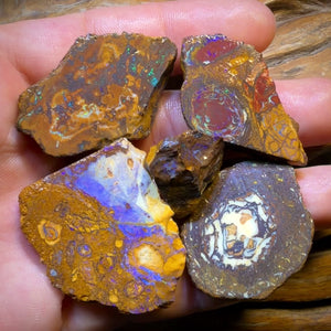 TGIF 307.3cts - 5x Yowah Nut Opal Rough Parcel. Australian Boulder Opal