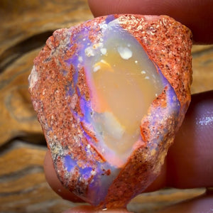 88.9cts - Boulder Pipe Opal Rough Piece. Australian Opal
