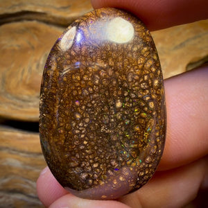 Wildcard! 78.5cts - Tribal Australian Boulder Opal from Yowah