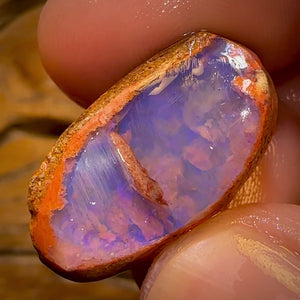 Bargain Card! 30.5cts - Boulder Pipe Opal Rough Piece. Australian Opal
