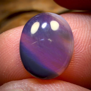 🔨 AUCTION 🔨 Reserve 💎 High Roller Banger Auction 💎 2.8cts - Lightning Ridge Semi Black Opal