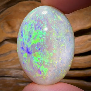 49.5cts - Large South Australian Crystal on Unique “Mother of Matrix” Multicolours!