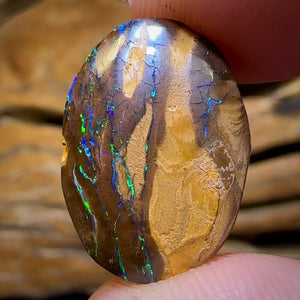 13.3cts - Queensland Boulder Opal from Yowah