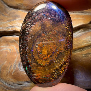 63.1cts - Tribal Queensland Boulder Opal from Yowah