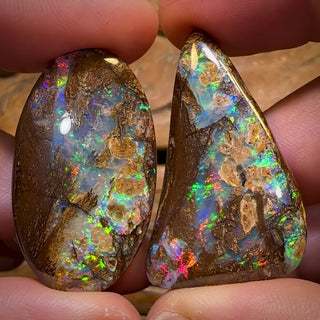 Auktionsabbruch = Ihr Gewinn! - Jetzt mehr als 50% Rabatt auf den UVP - 117,5ct - Seltenes australisches Boulderholz-Fossil-Opal-Paar. Bieten Sie auf eines, bieten Sie auf beide.