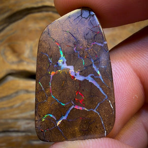 35.6cts - Queensland Boulder Seam Opal. Red Multicolours!