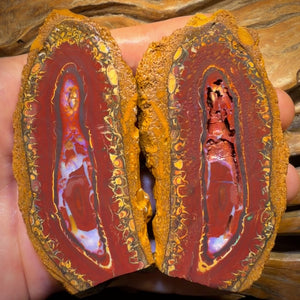 891.5cts - Large RARE Yowah Nut Partial Crystal Centre Rough Specimen Pair