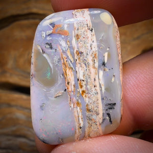 29.2cts - Solid Australian Boulder Pipe Opal Cool Picture Stone