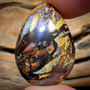 41.2cts - Queensland Boulder Opal from Yowah