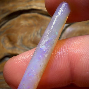 8.2cts - Opalised Belemnite Geological Specimen from South Australia