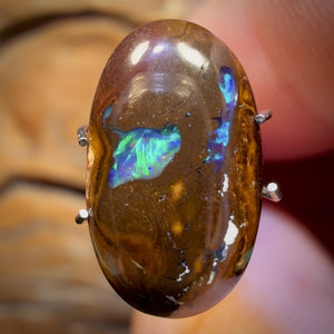 5.9cts - Australian Boulder Opal from Yowah