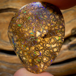 Dad Card! 18.6cts - Tan Tribal Australian Boulder Opal from Yowah