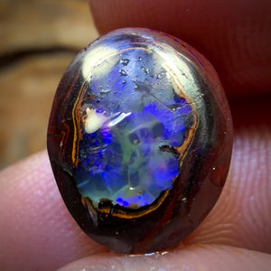 🔨 AUCTION 🔨 10.6cts - Yowah Nut Fully Framed Crystal Centre Opal Rub