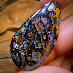 95.8cts - Top Tribal Koroit Nut Opal. Australian Opal