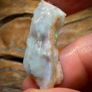 16.6cts - Lightning Ridge Dark Opal Rough Piece