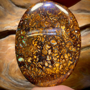 63.2cts - Tribal Yowah Nut Opal. Australian Opal Bargain