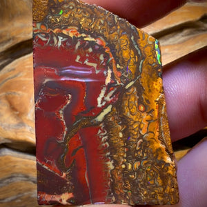 🔨 AUCTION 🔨 257.2cts - Tribal Yowah Nut Picture Stone Opal Rough Piece