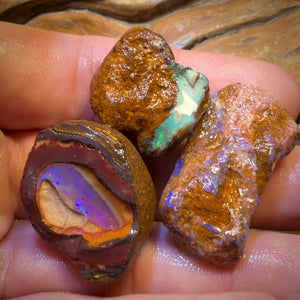 154.2cts - 3x Yowah Nut Rough Opal ParcelWith Crystal Centers