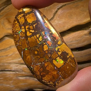 🔨 AUCTION 🔨 Reserve 💎 High Roller Banger Auction 💎 281.9cts - “Thick and Chunky” Large Tribal Yowah Nut Opal