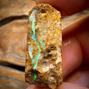 33,1cts - Boulder Pfeifenopal Rohstück. Australischer Opal