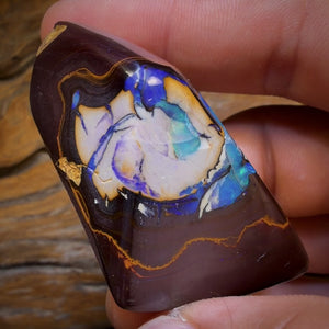 260.1cts - Yowah Nut Kernel Opal. Polished Specimen