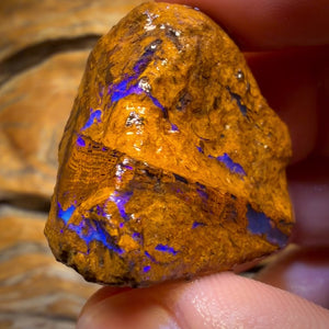 101.1cts - Vegetation Fossil Replacement Boulder Opal Rough Piece. Found on ‘OUTBACK OPAL HUNTERS’!!