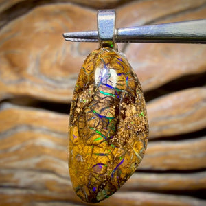 Roadshow Wildcard! Solid Tan Tribal Queensland Boulder Opal Pendant