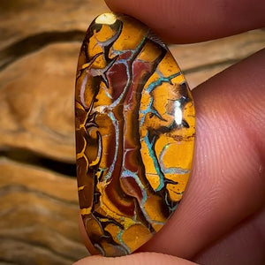 16.1cts - Top Tan Tribal Queensland Boulder Opal Art of Opal Worthy…I Love It
