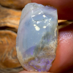 🔨 AUCTION 🔨 No Reserve 27.5cts - Opalised Shell Geological Specimen from South Australia