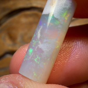10.1cts - Opalised Belemnite Geological Specimen from South Australia