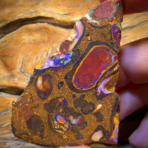 299.1cts - Yowah Nut Conglomerate Rough Piece. Featured On ‘OUTBACK OPAL HUNTERS’!!