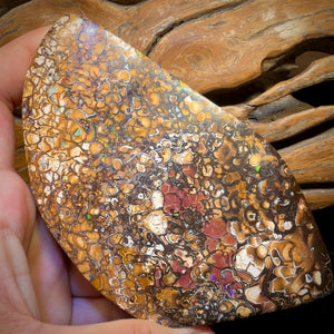 2082cts - HUGE Tribal Australian Boulder Opal Polished Specimen