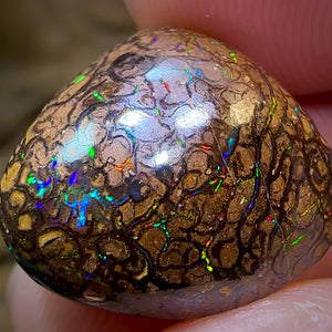 16.6cts - Yowah Nut Opal. Tribal Pattern