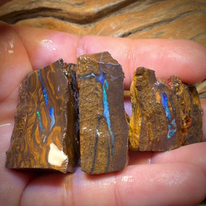 342cts - 3x Queensland Boulder-Opal-Rohmaterial-Paket von Duck Creek